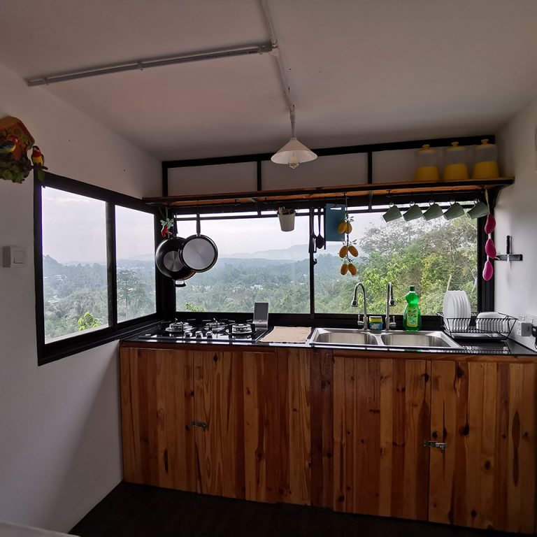 modern traditional tiny house design