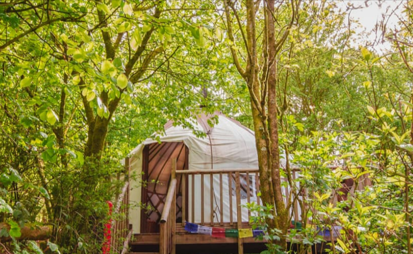 bentwood yurt